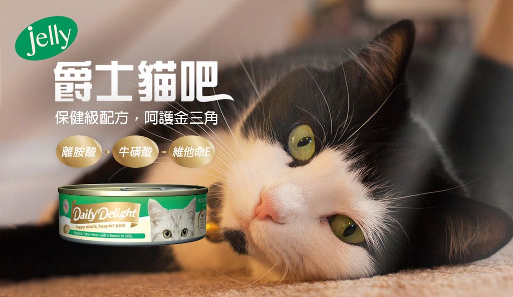 爵士貓吧化毛餐 (4)