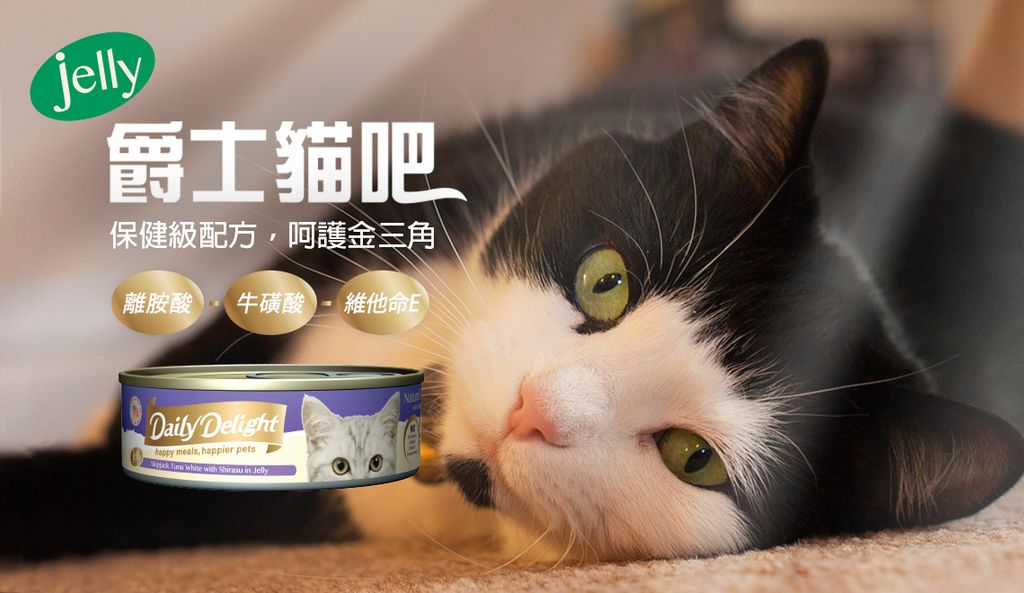 爵士貓吧化毛餐 (7)