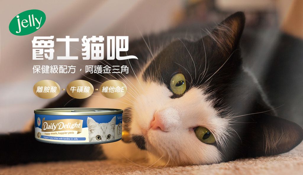 爵士貓吧化毛餐 (8)