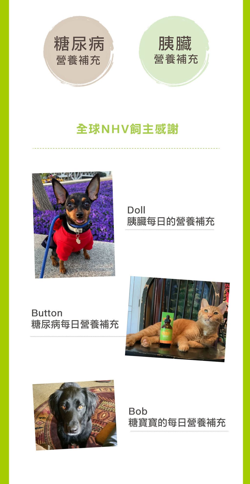 糖尿病胰臟照護營養飲 (4)