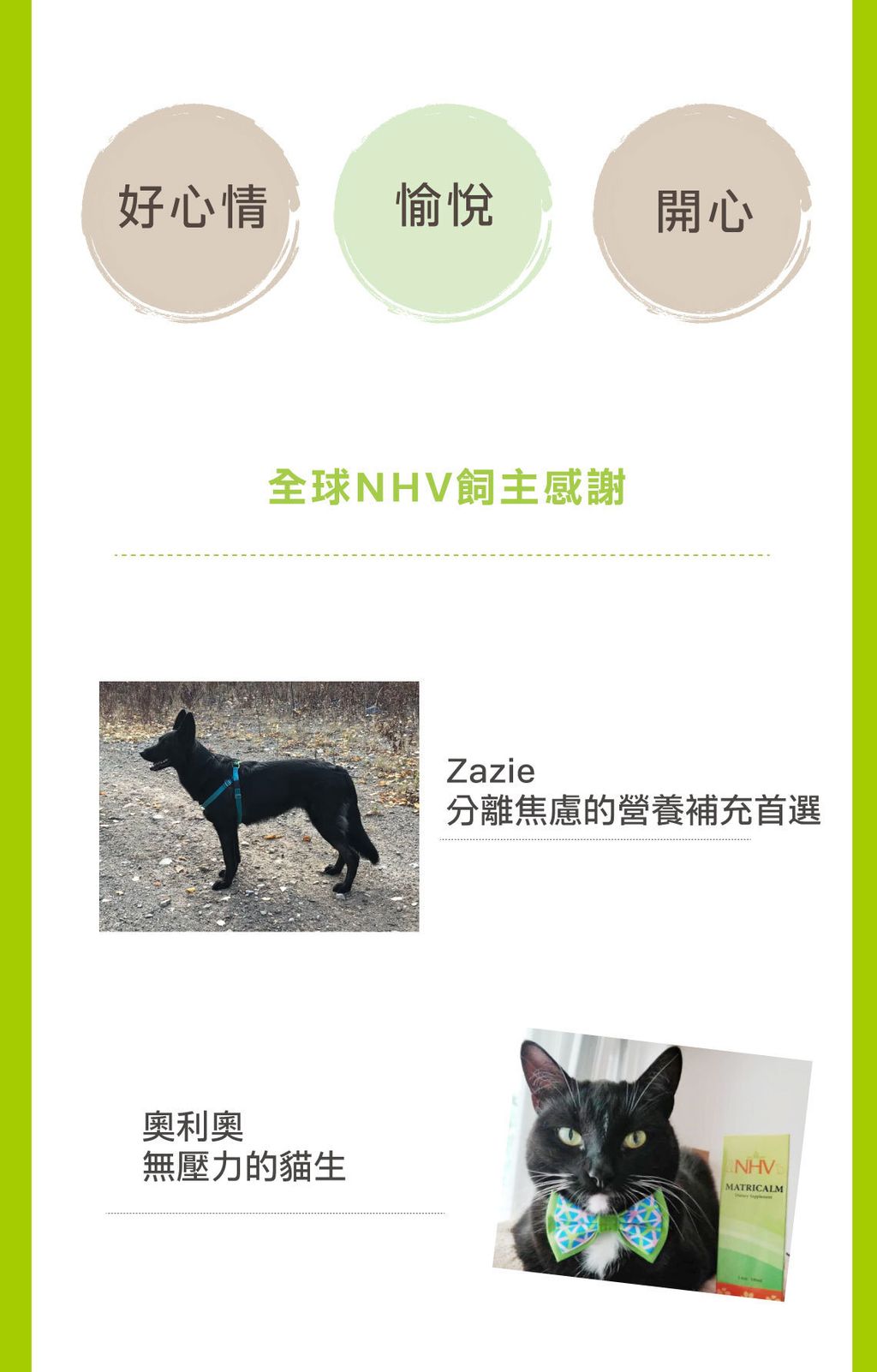 好心情照護營養飲 (4)