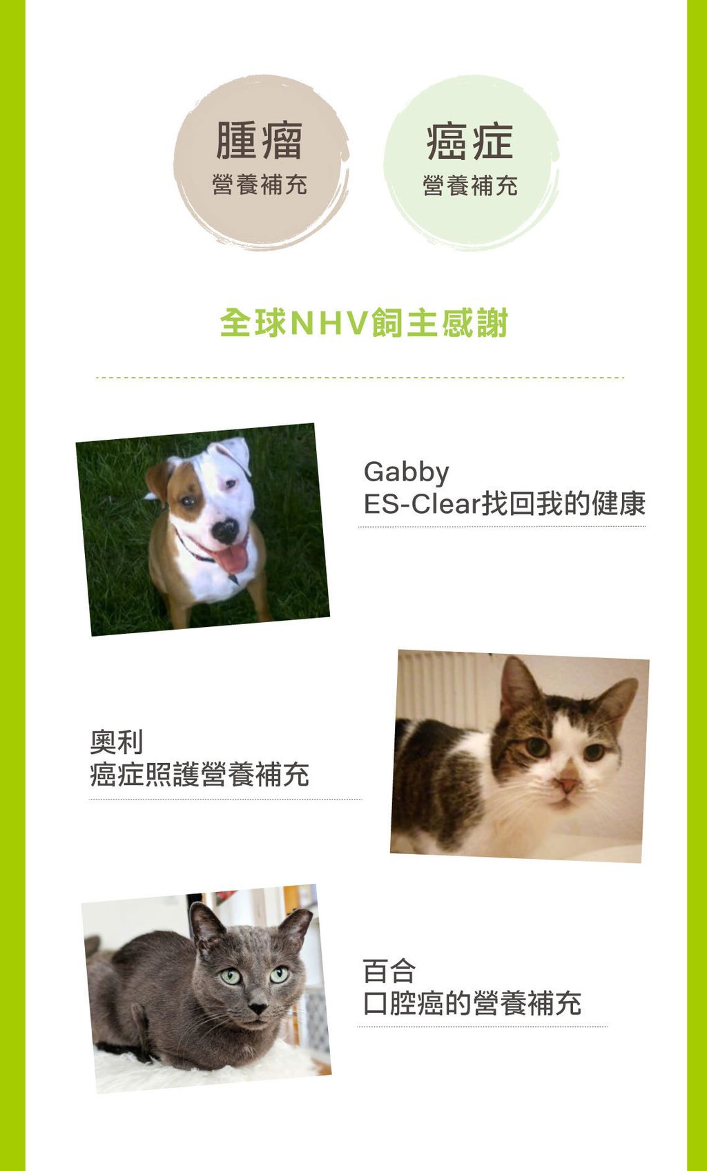 ES癌症腫瘤照護營養飲 (4)