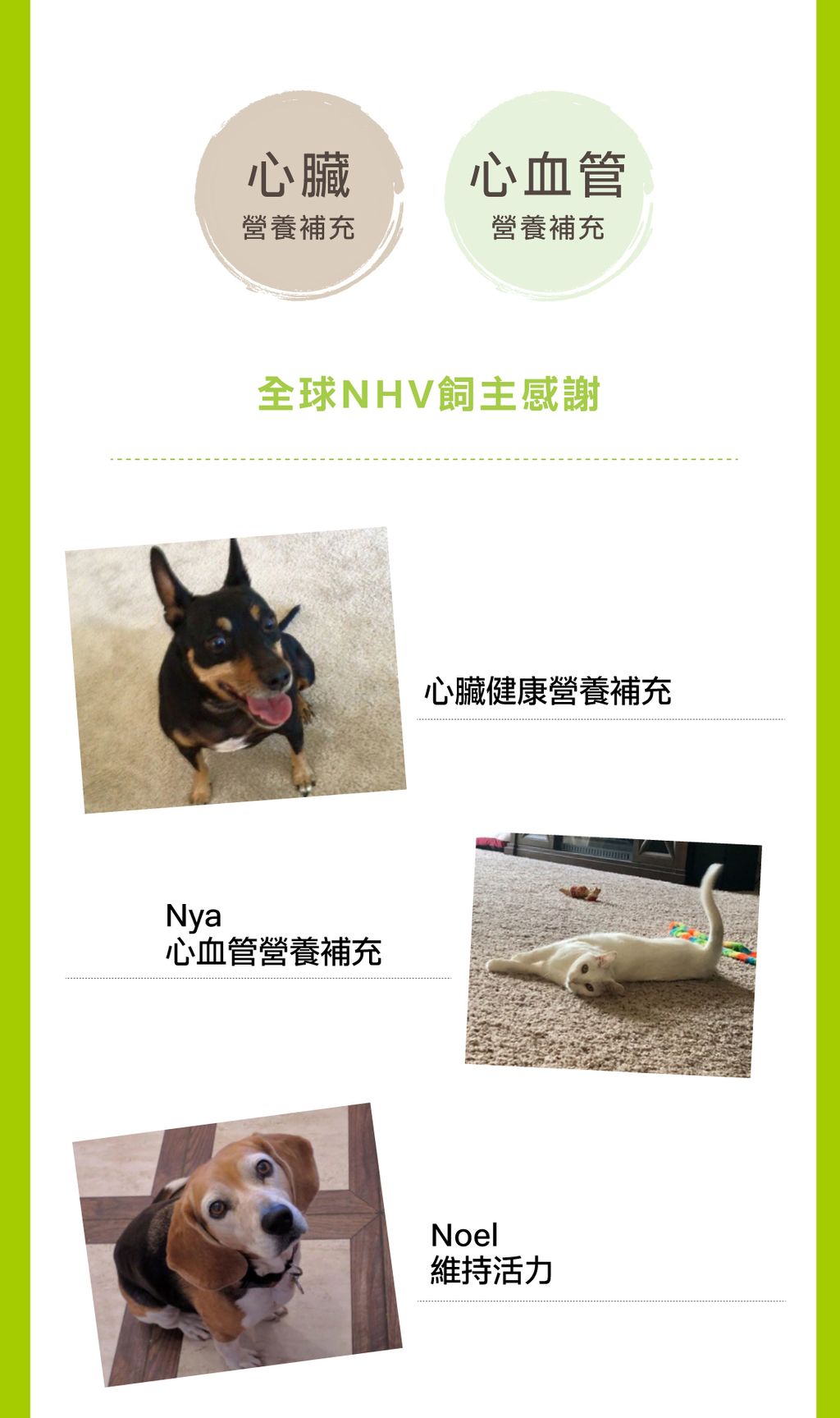 心臟照護營養飲 (4)