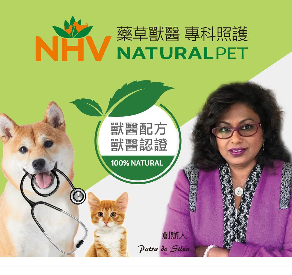 牛奶薊 (7)