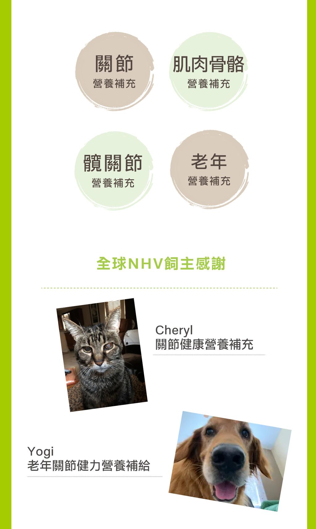 關節老年照護營養飲 (4)