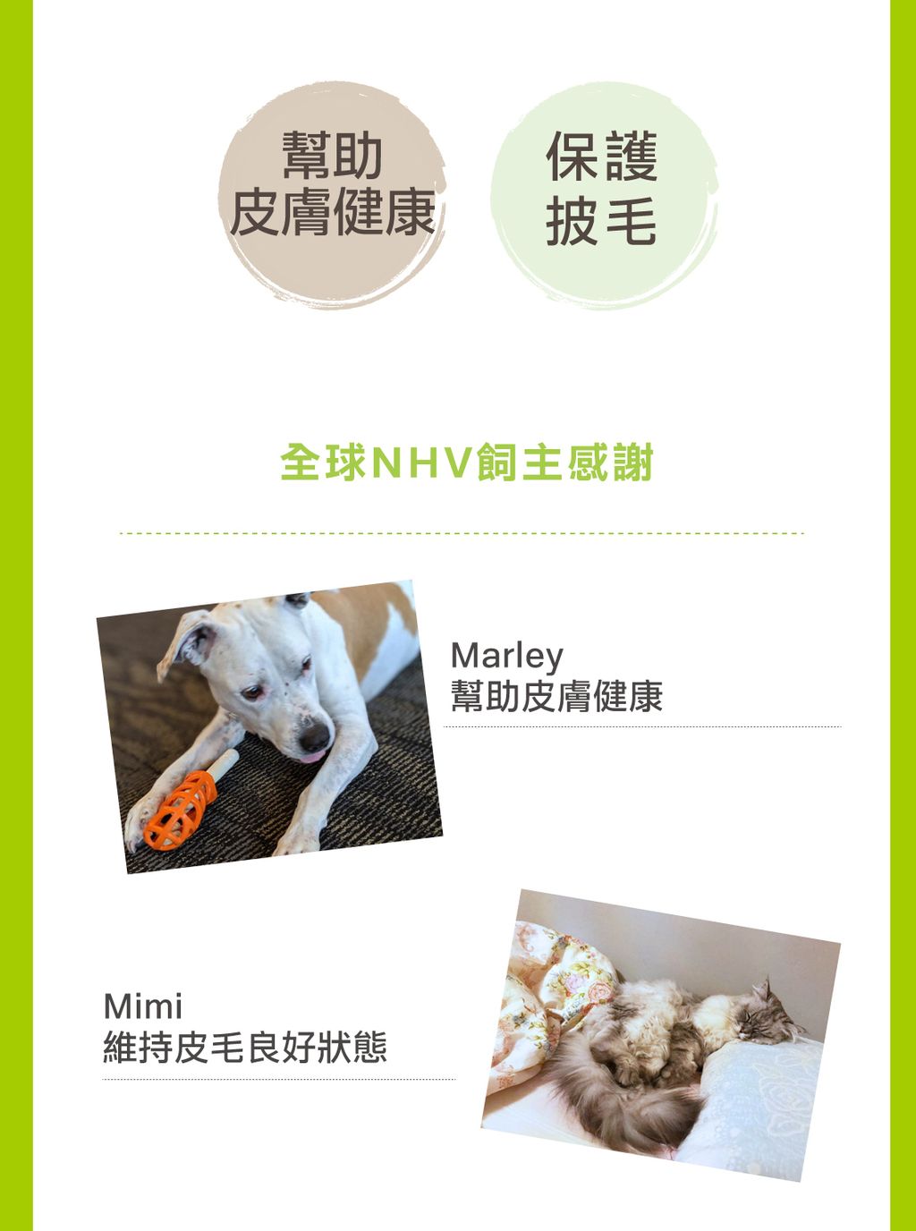 肌膚黃金噴霧 (4)