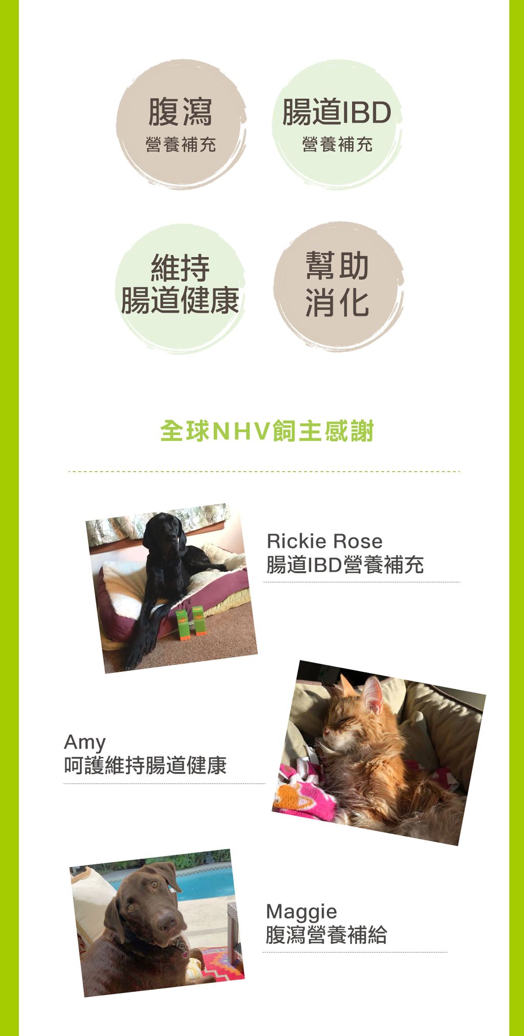 腸道不拉照護營養飲 (4)