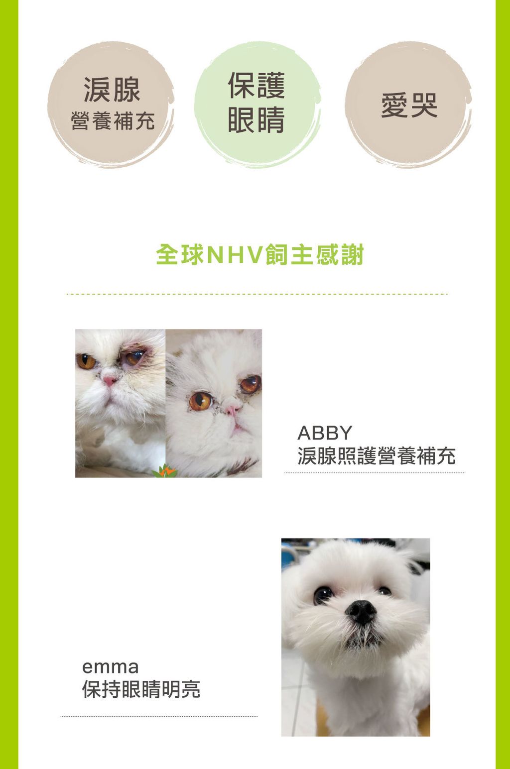 眼睛淚腺照護營養精華 (4)