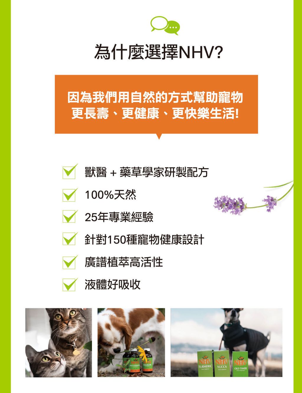 耳道照護滴露 (5)