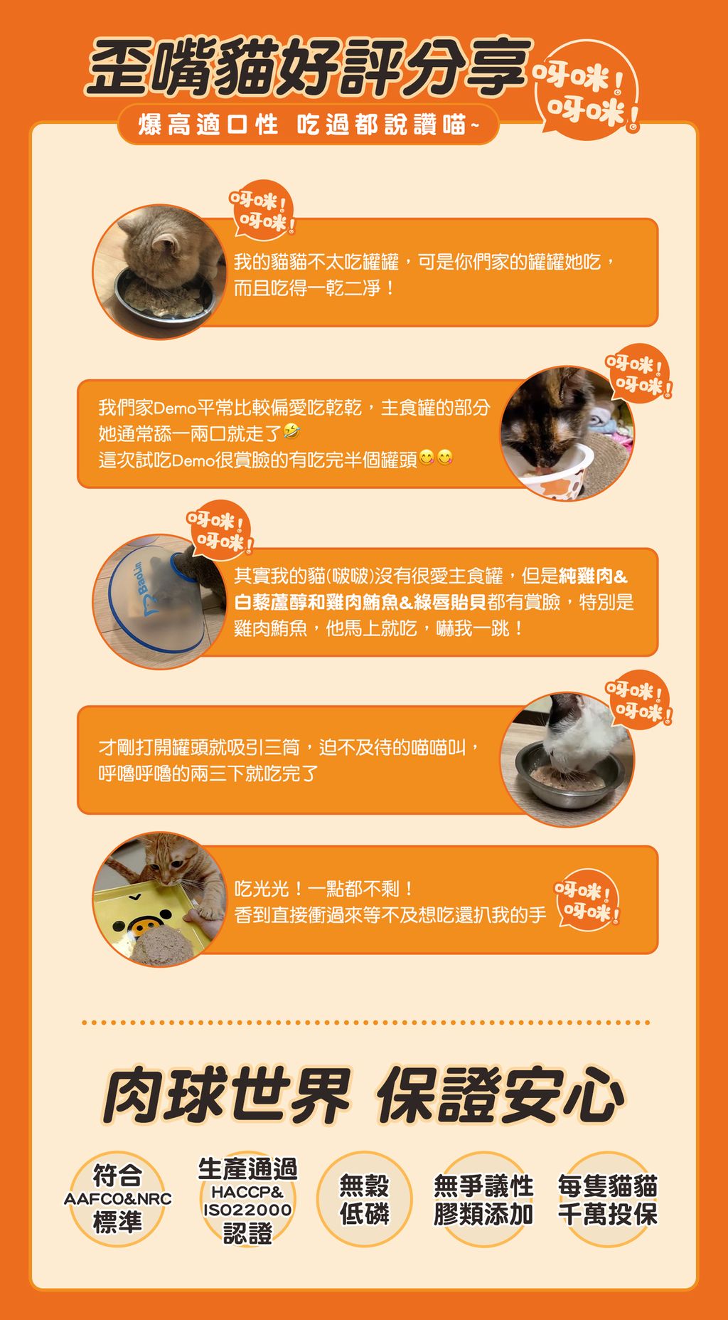 肉球世界 歪嘴貓主食罐 好評分享
