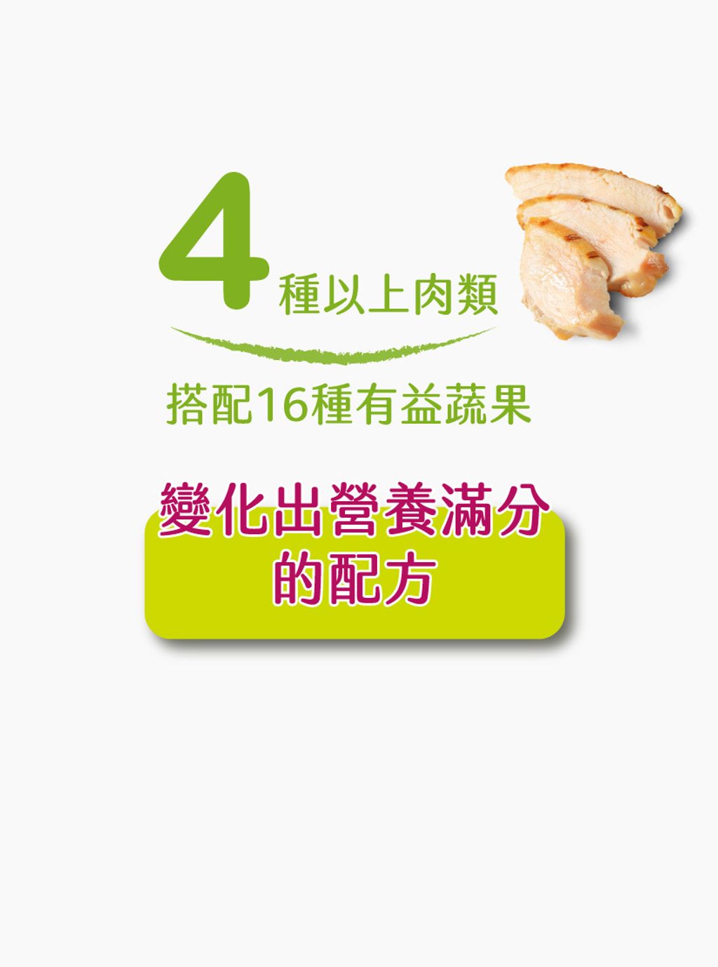經典系列幼貓 (2)