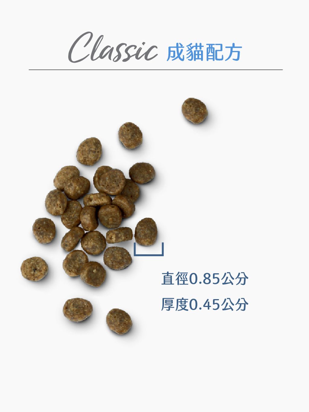 經典系列成貓 (7)