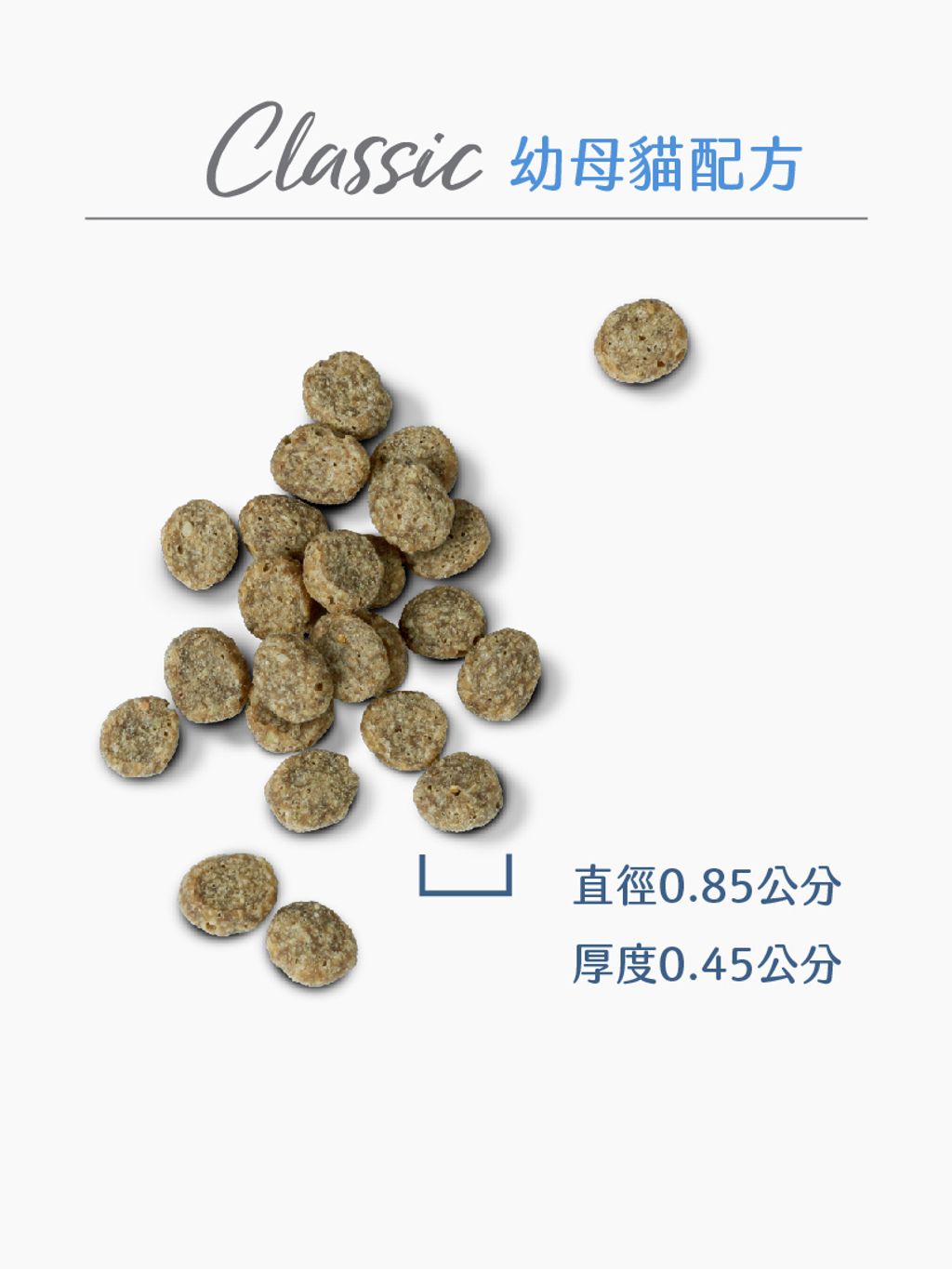 經典系列幼貓 (6)