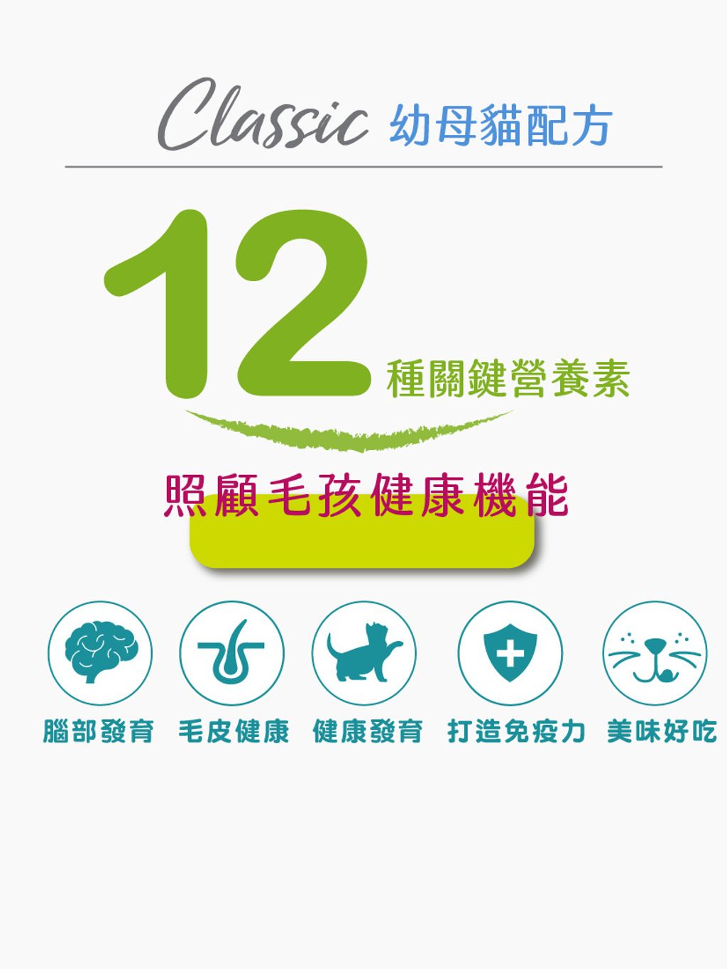 經典系列幼貓 (9)