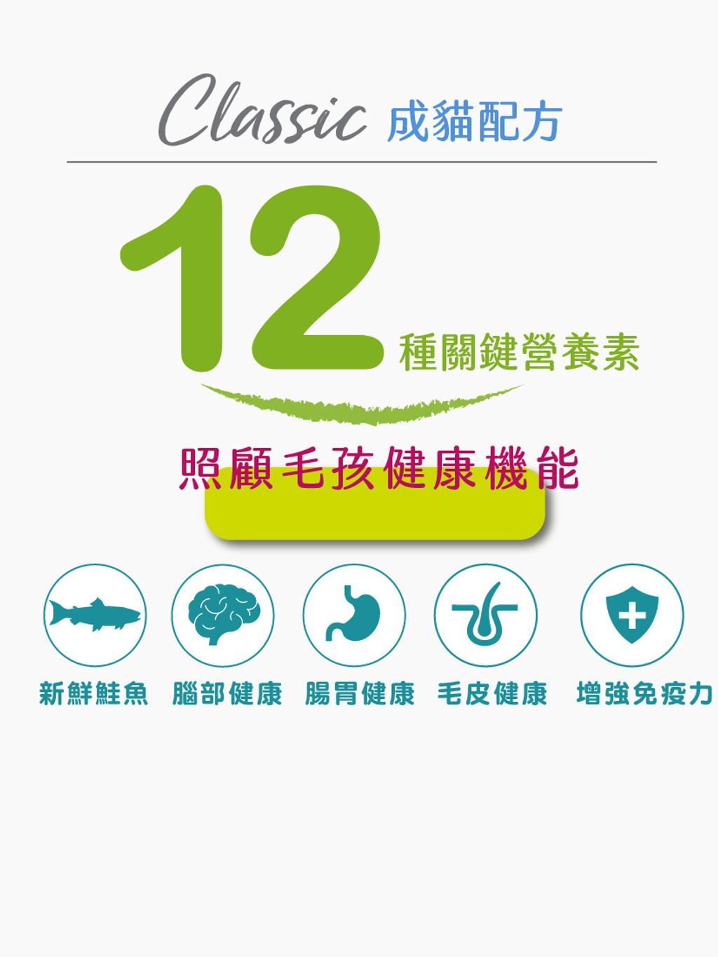 經典系列成貓 (9)