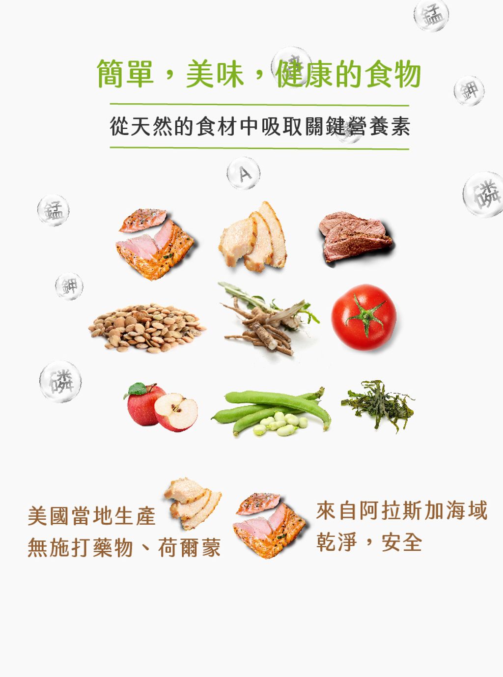 經典系列成貓 (3)