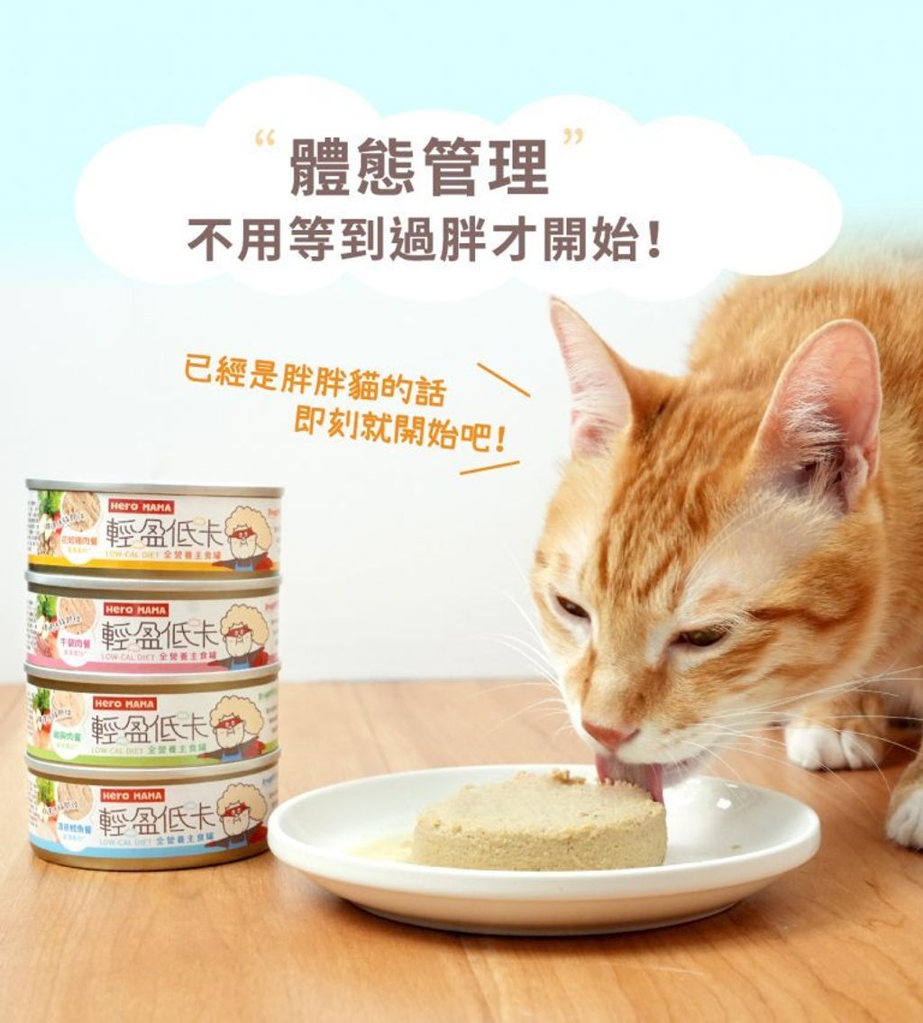 fbe80e8a-f839-4a4c-90a4-358a02bc3530