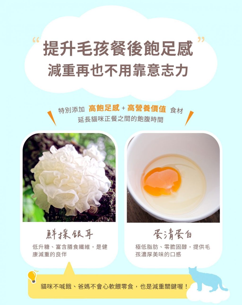 6a0cdb9b-cb26-4028-af1b-b6de02609453