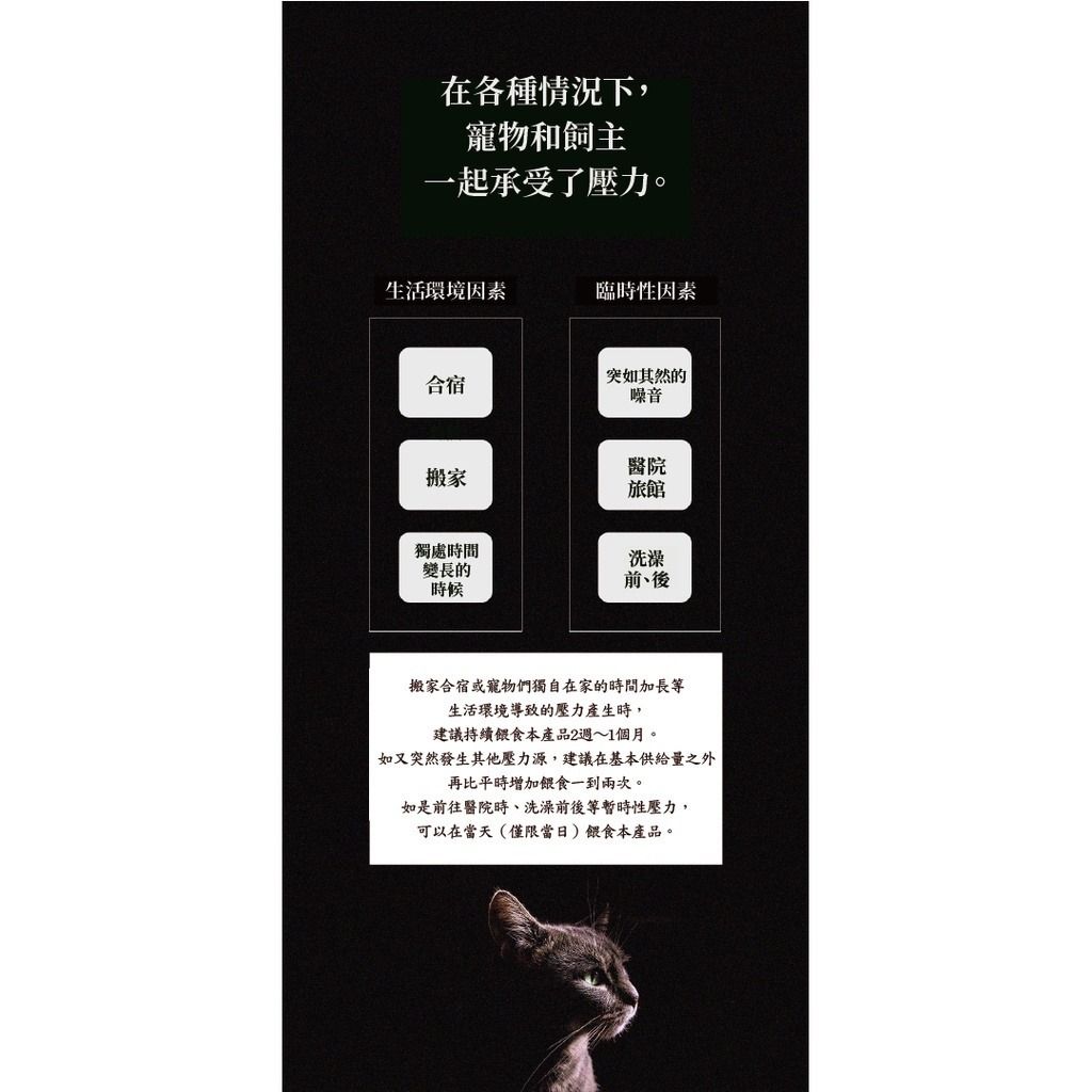 gallery_0120_173408_3