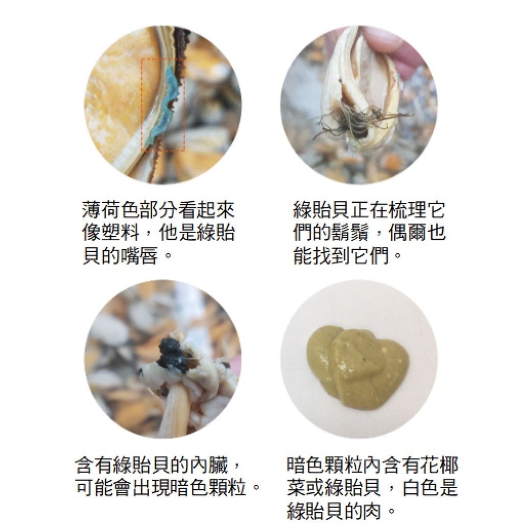 gallery_0121_005742_3