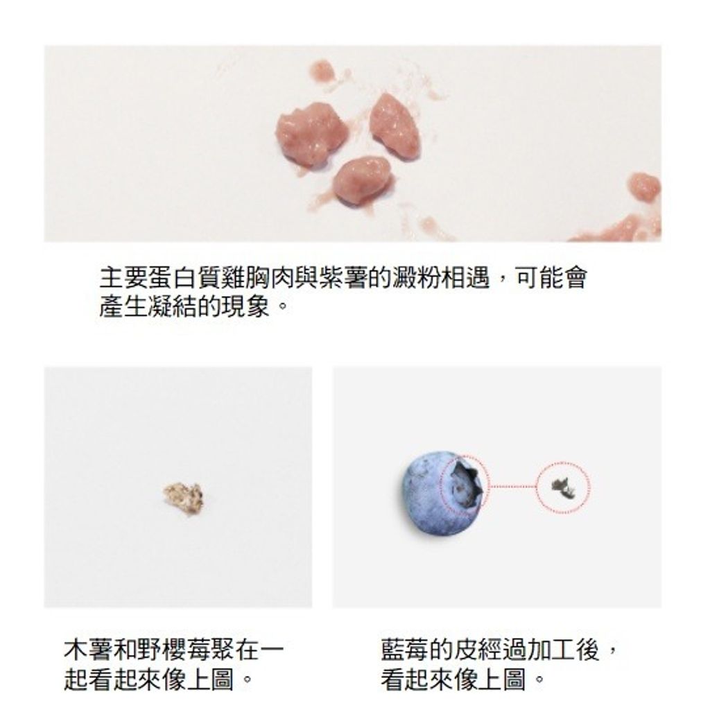 gallery_0121_004724_4