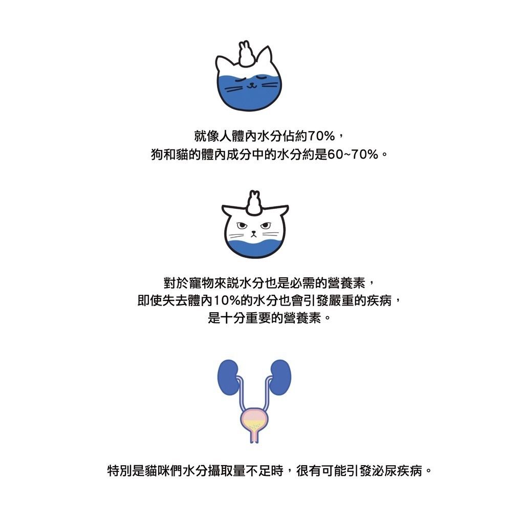 gallery_0121_003707_6