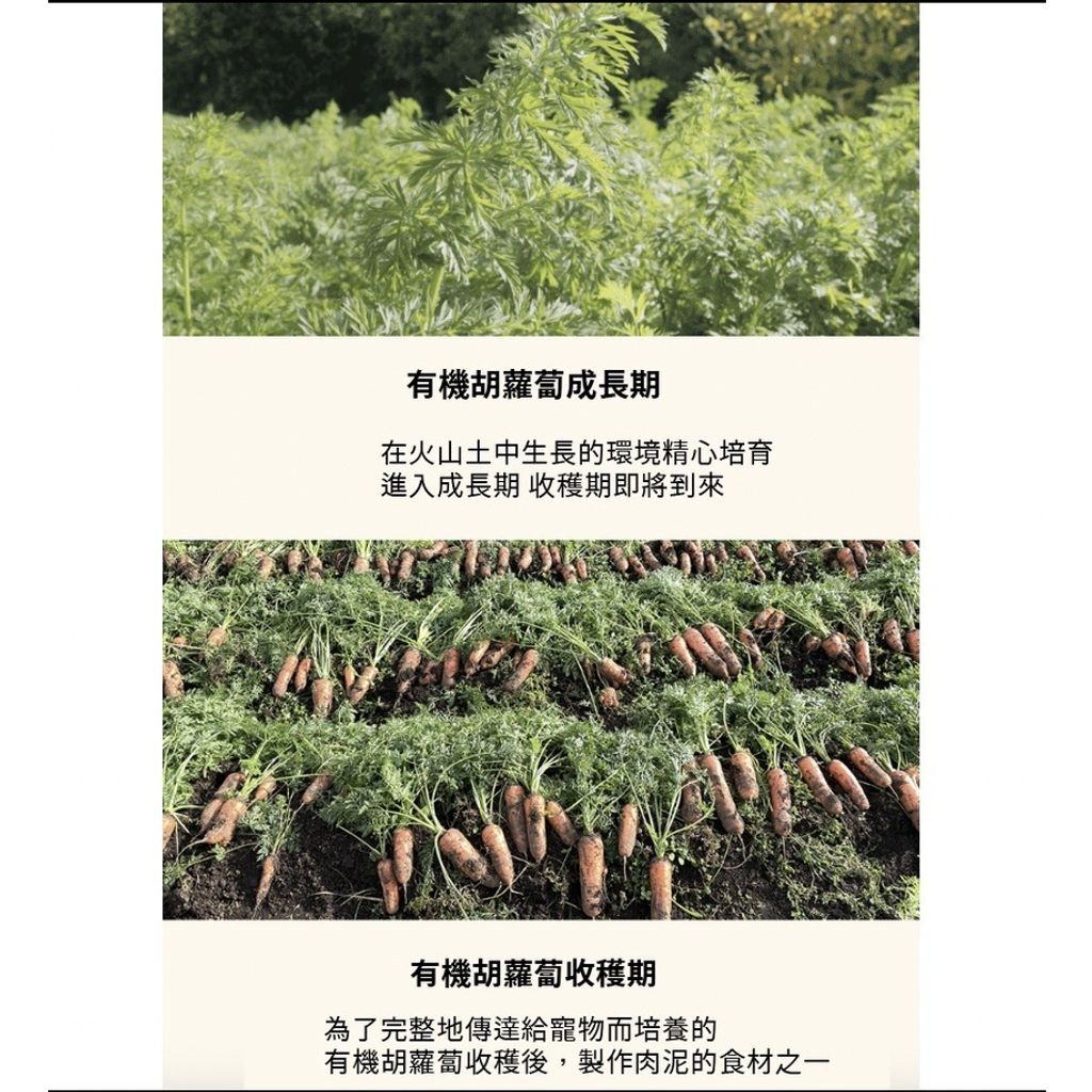 gallery_0121_001818_6