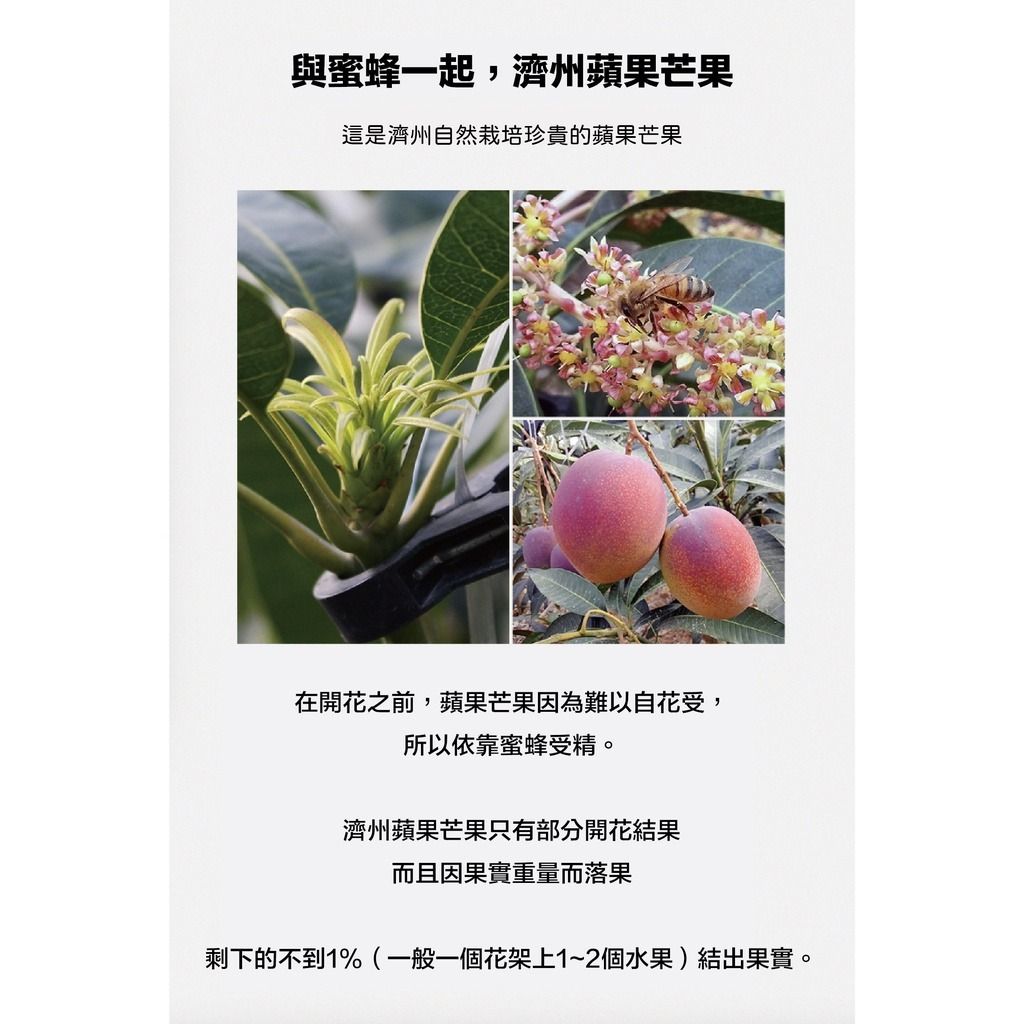 gallery_0121_002708_3