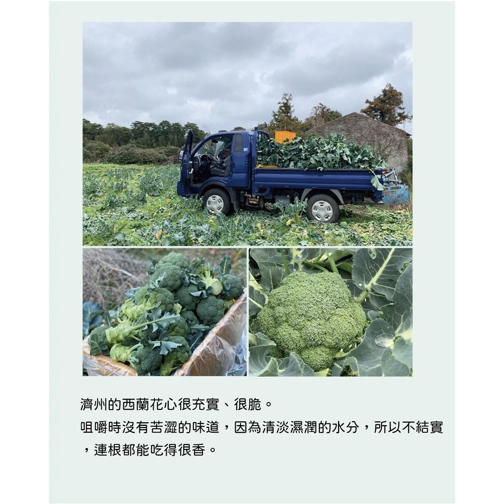 gallery_0121_002708_5