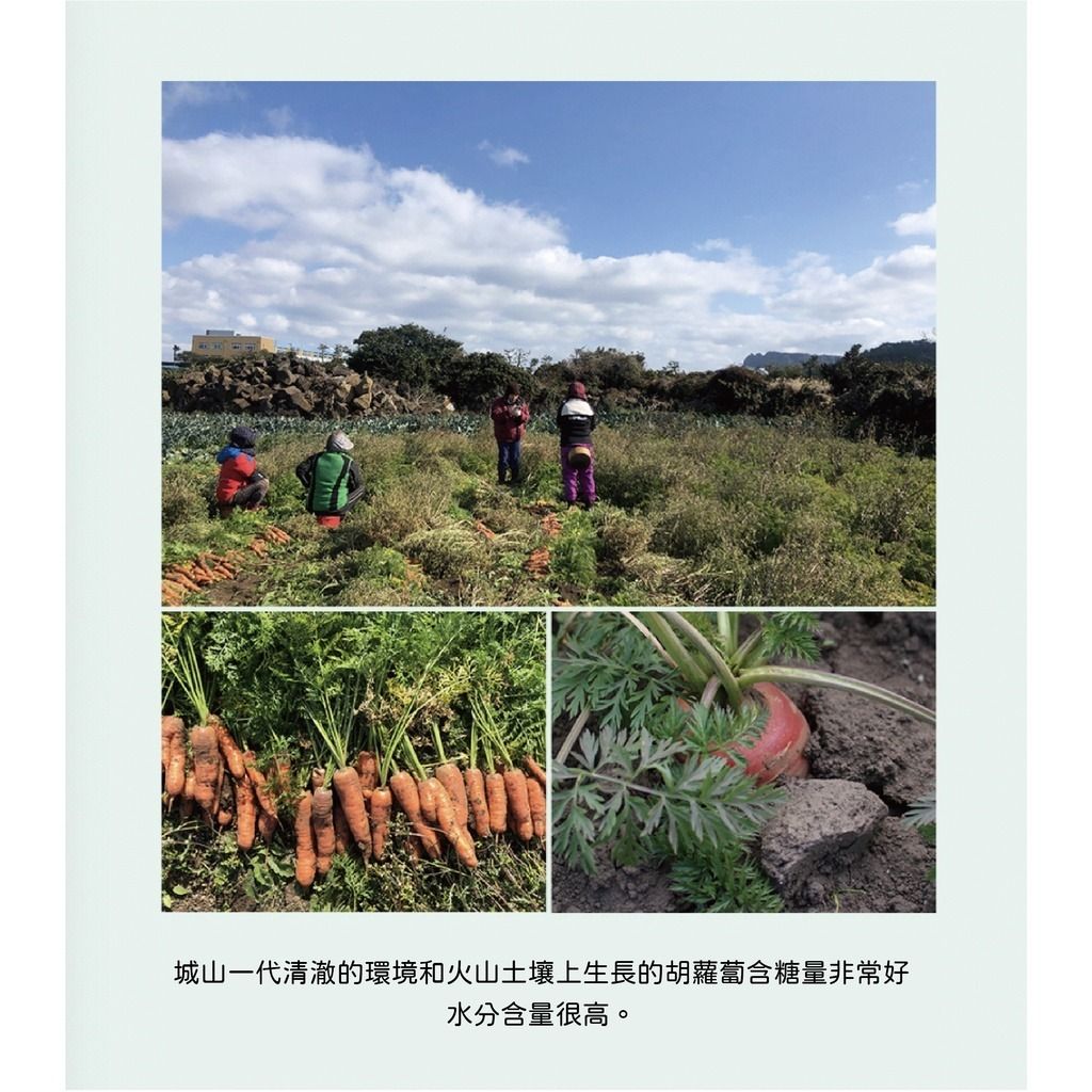 gallery_0121_002708_4