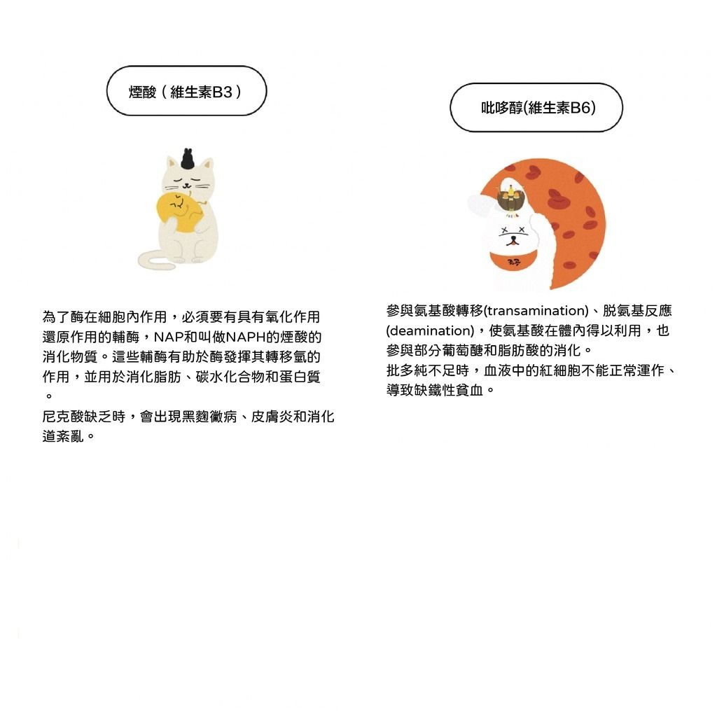 gallery_0121_004350_6