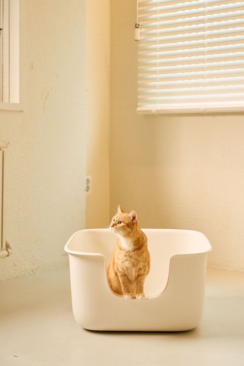 description_0223_144841_15