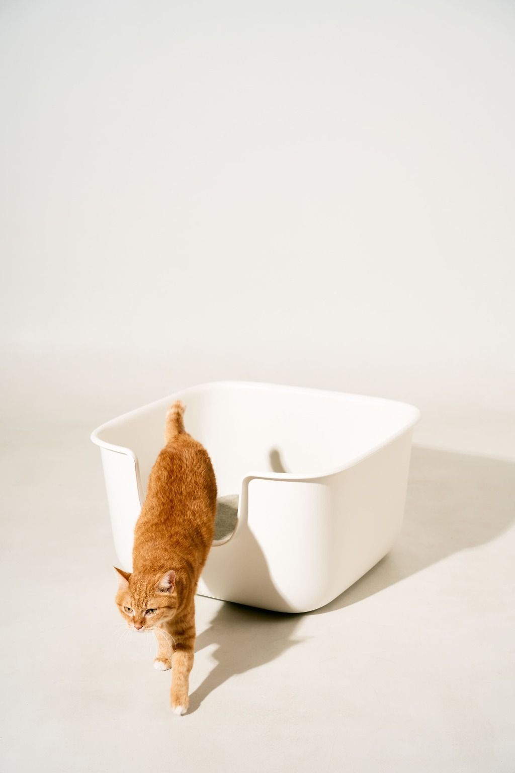 description_0223_144841_16