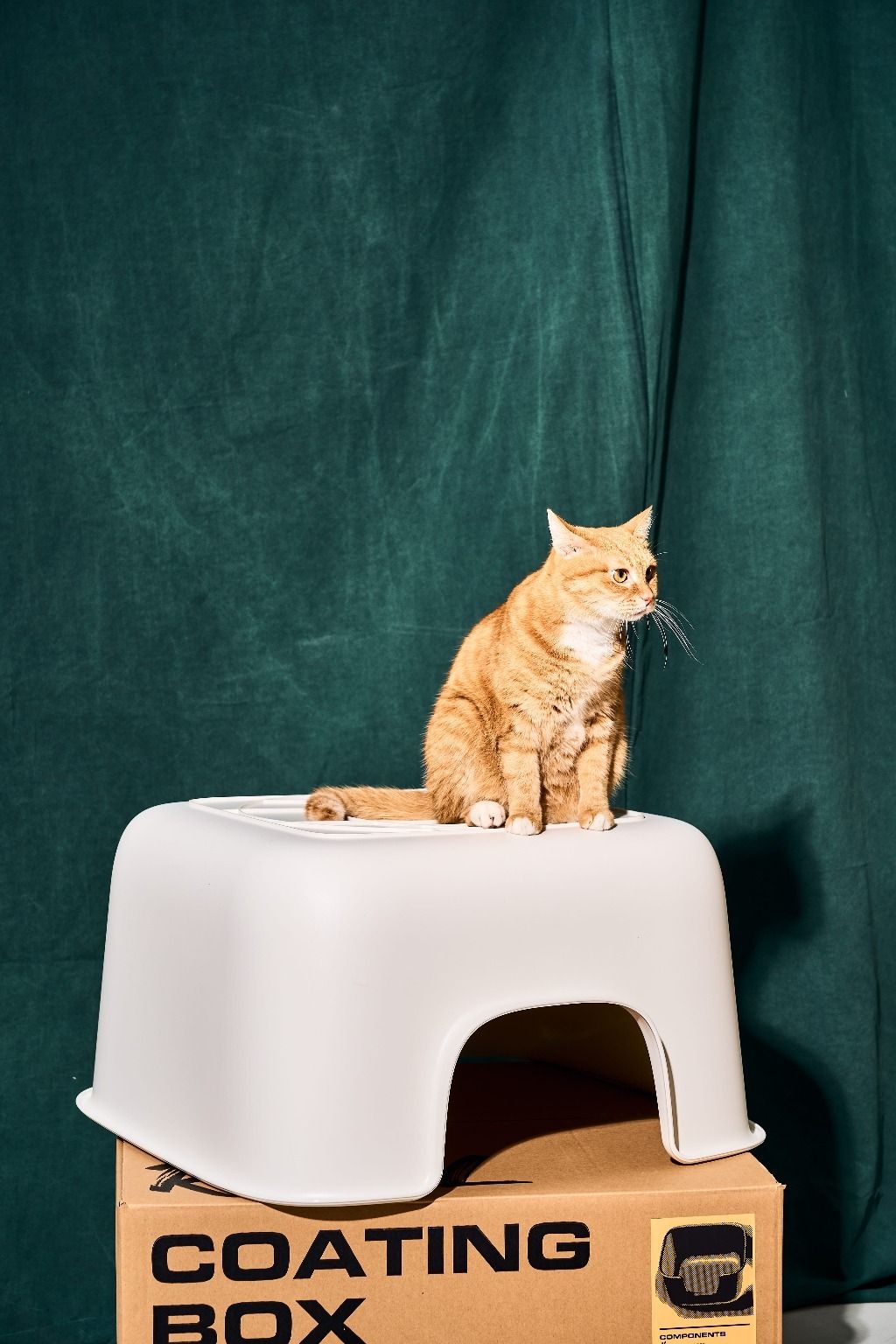 description_0223_144907_17