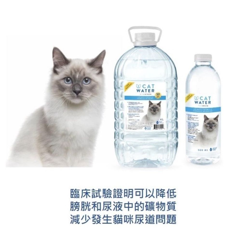 gallery_1207_112603_1