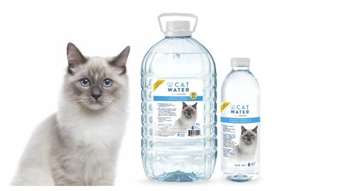 e61c9f33-360d-4a18-89c9-c0949887eec1