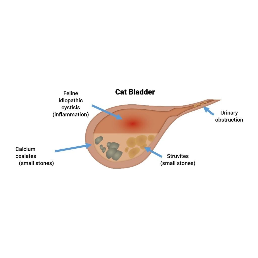 gallery_1207_112457_6