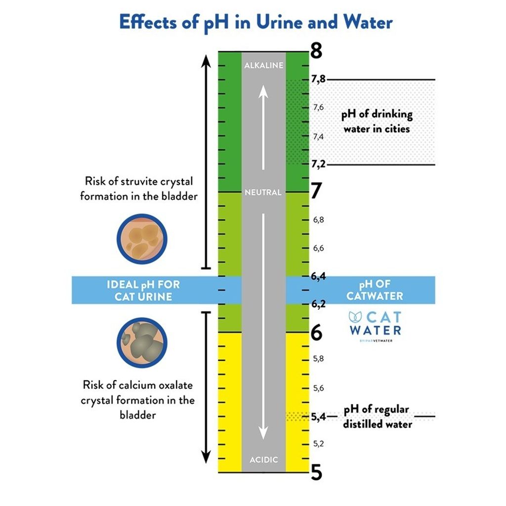 gallery_1207_112457_5