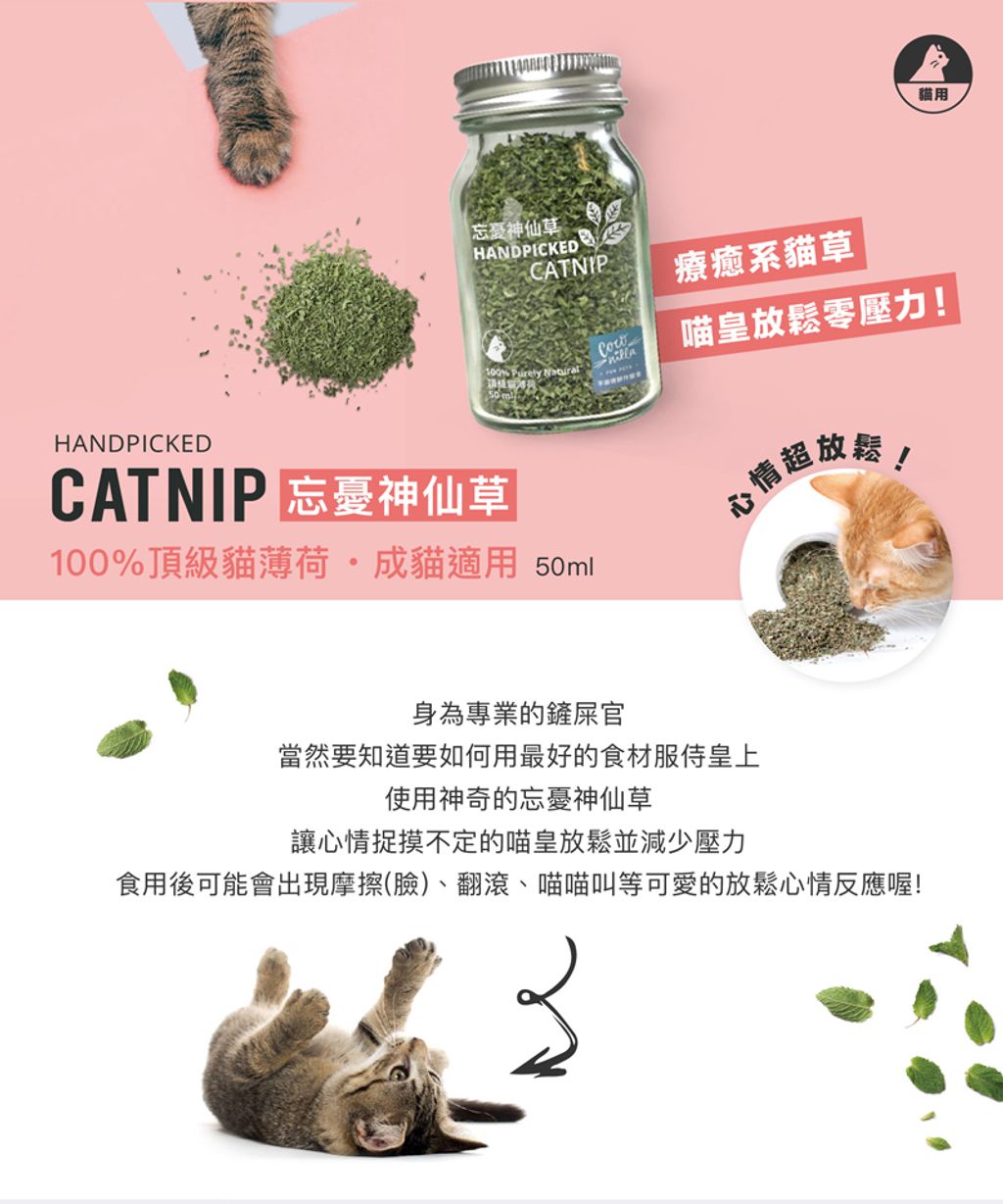 5d00b2c9-85a4-4eea-96fb-6900cbdd56cb