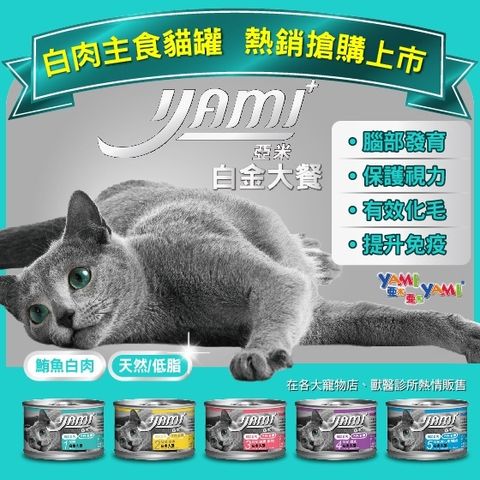 6aed114e-8157-4389-b931-89580ceea2ce