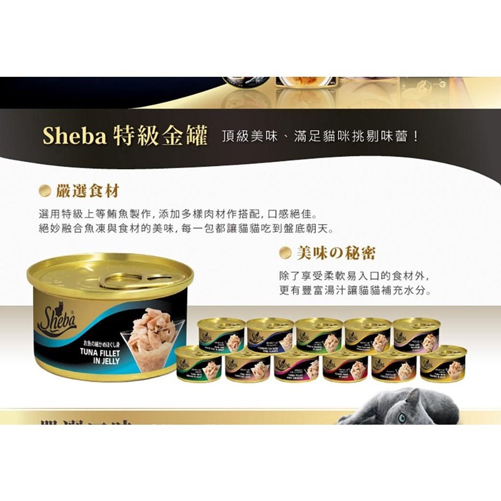 gallery_0404_085140_1