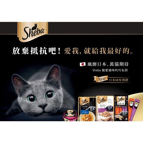 gallery_0404_085139_1