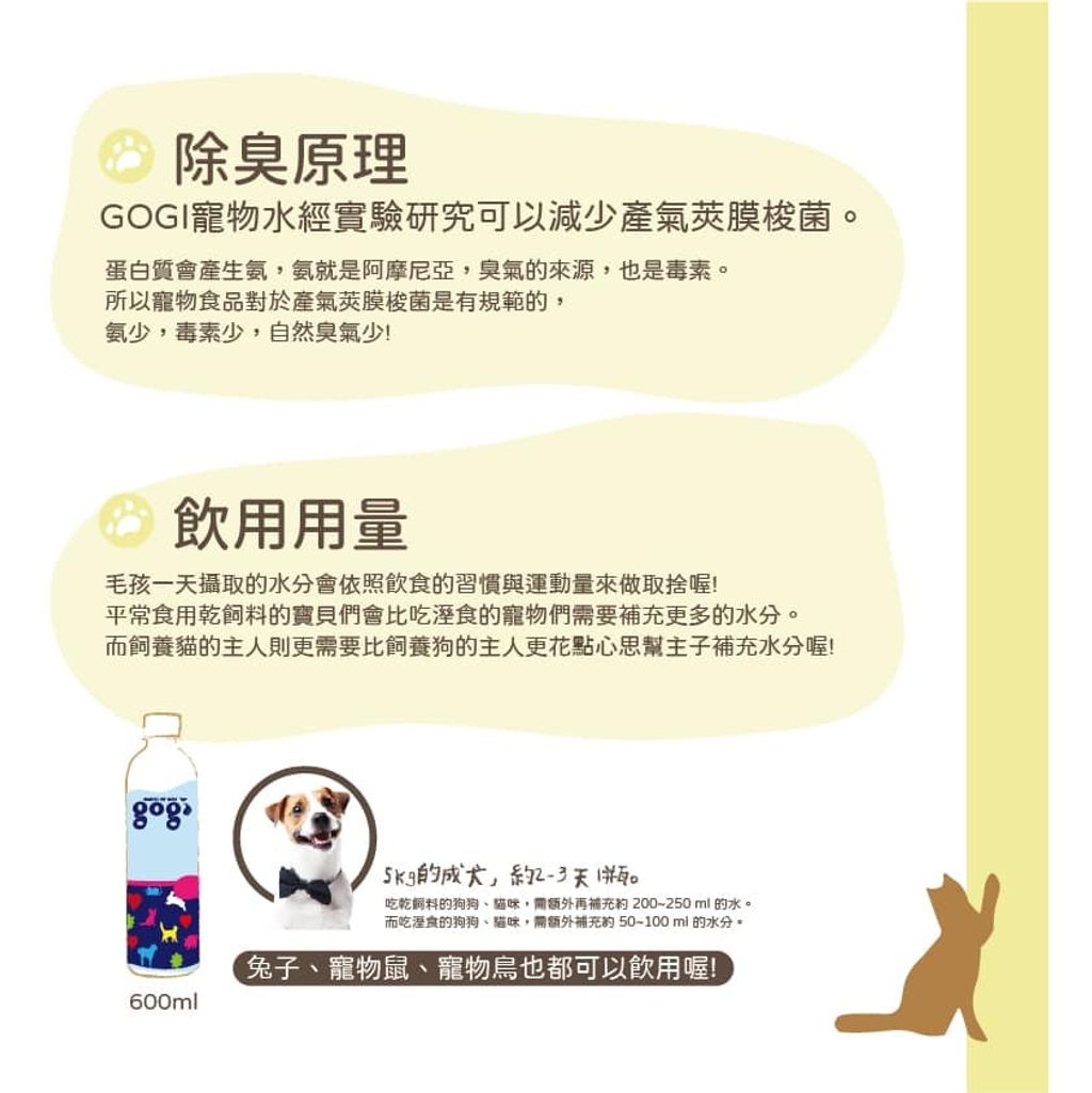 93403990_1081816692211611_5126364671200198656_n