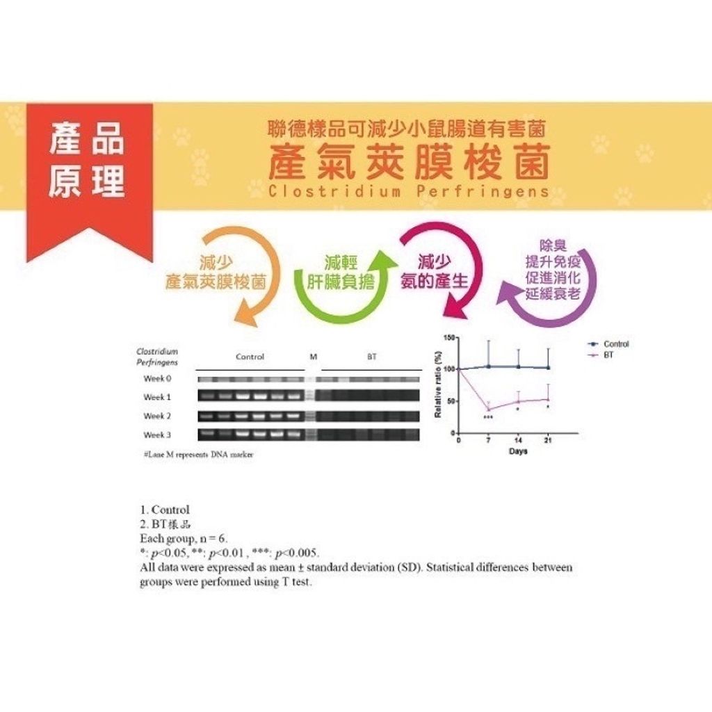 gallery_0405_132731_1