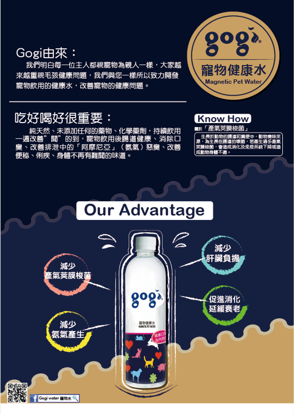 61084214_825988027794480_5505245554814222336_n