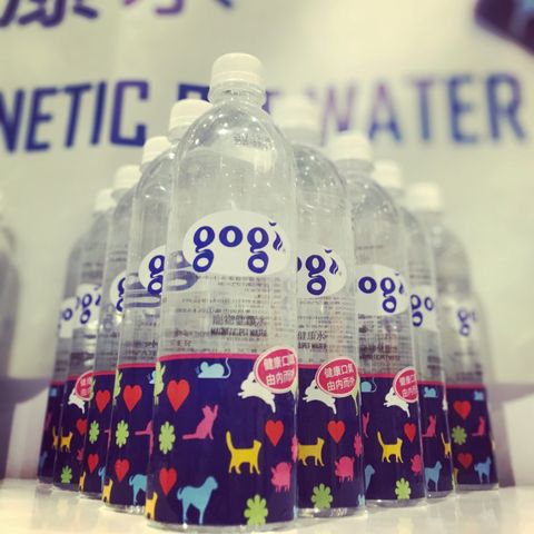 76918971_964580097268605_2183359986564857856_n