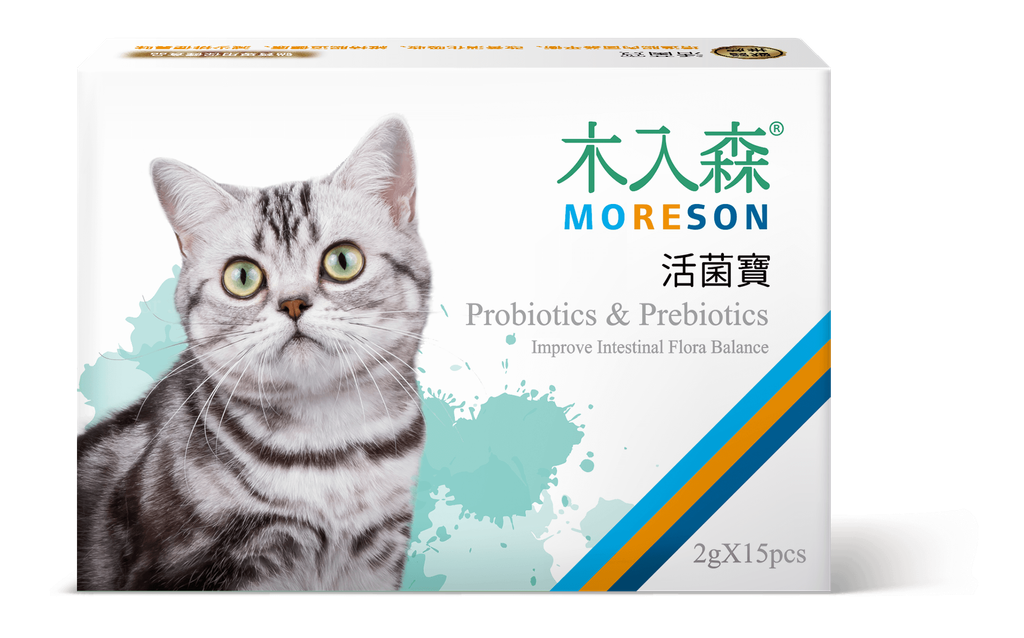 貓_活菌寶小_正視