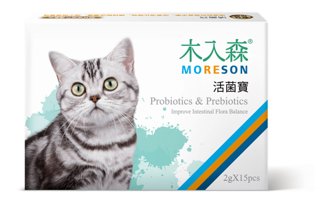 貓_活菌寶小_正視