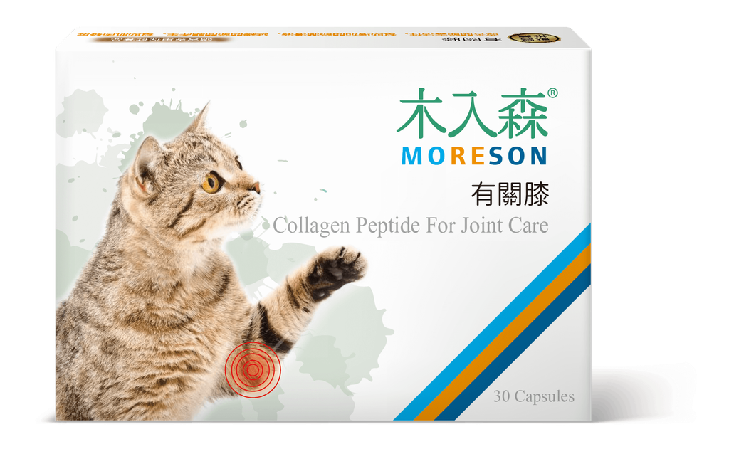 貓有關膝_正視_小