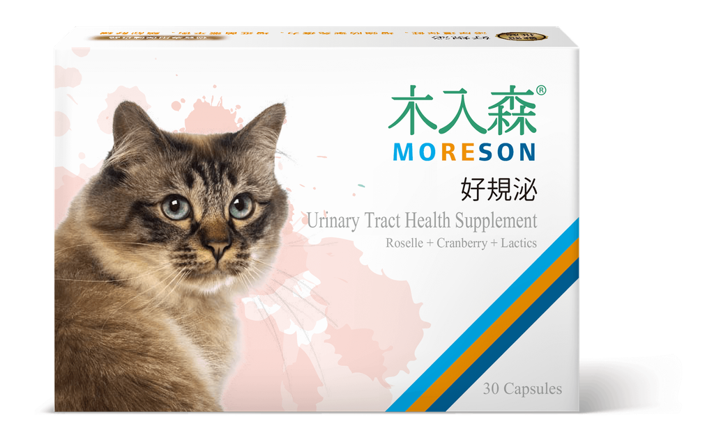 好規泌_正視立盒_小